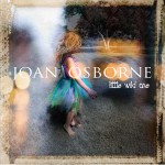 Little Wild One详情