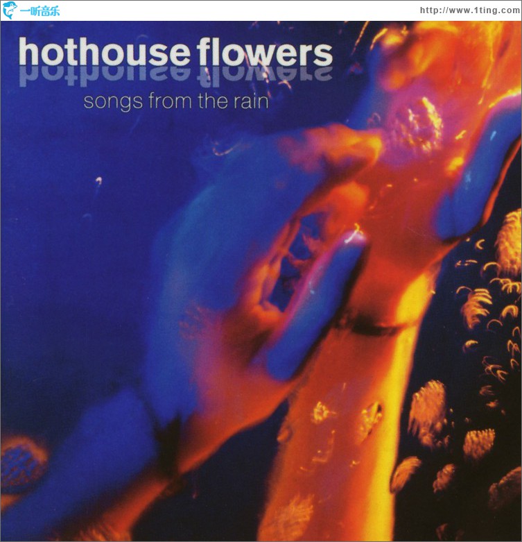 Songs From The Rain