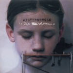 In den Wahnsinn详情