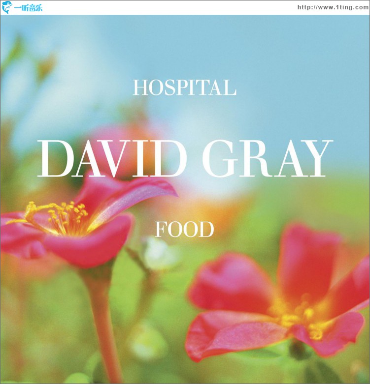Hospital Food (UK CD)