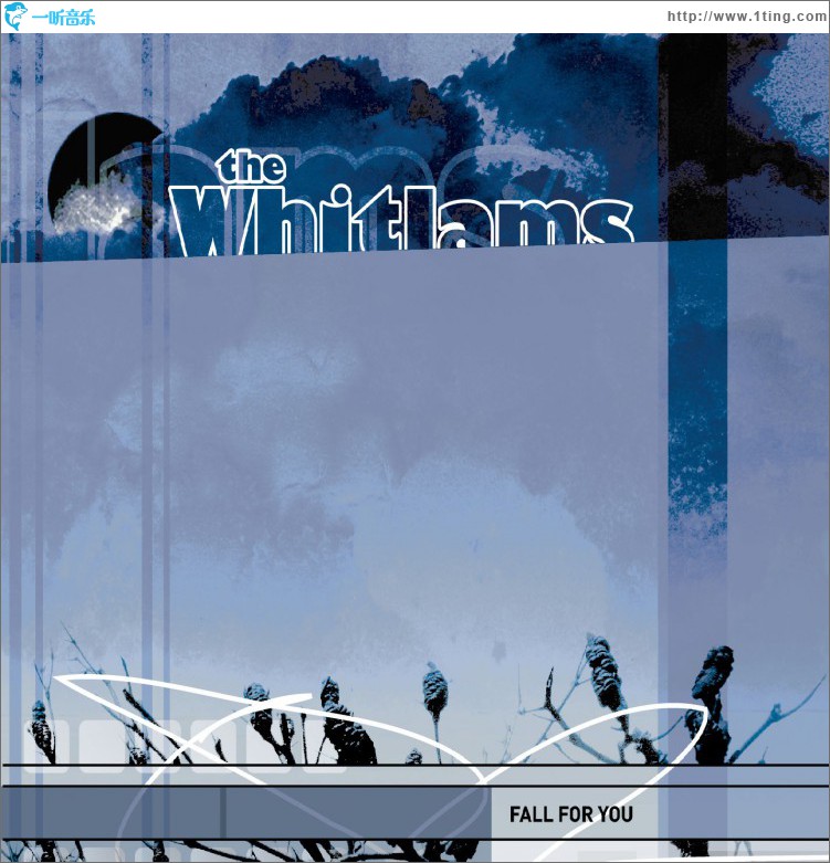 Fall For You (Standard Version)