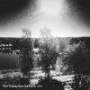 The Tallest Man On Earth 1904 试听