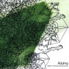 Aloha Boys In The Bathtub (LP Version) 试听