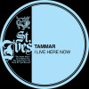 Tammar Frost Meter 试听