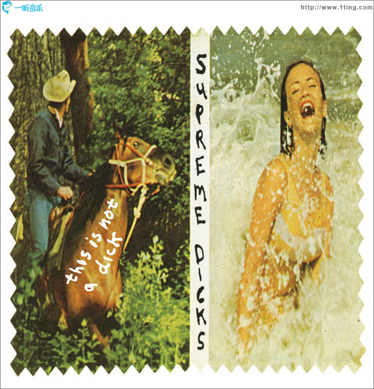 This Is Not A Dick & Rarities