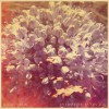 Night Beds Lorraine 试听