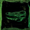 Avey Tare Laughing Hieroglyphic 试听