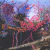 Animal Collective Native Belle 试听