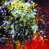 Hisato Higuchi Cry Baby Flowers 试听