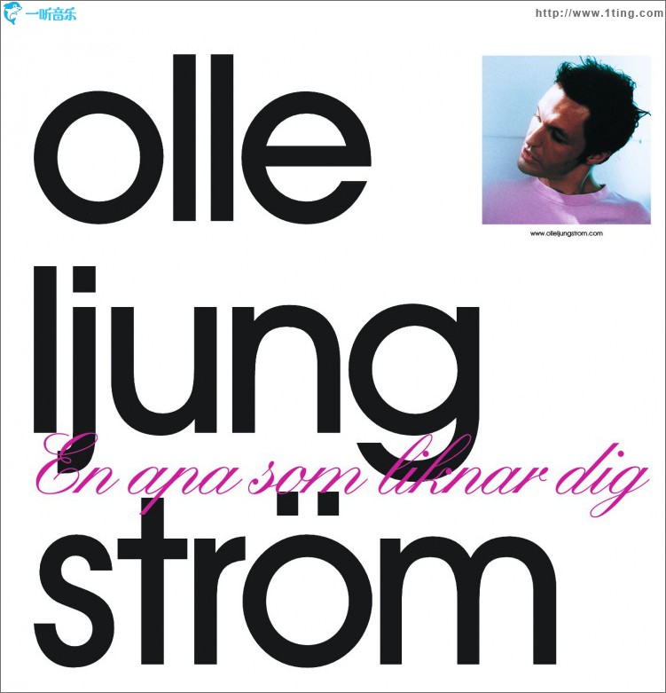 En apa som liknar dig