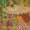 Maria-João Pires Schubert : Piano Sonata No.21 in B flat major D960 : I Molto moderato 试听