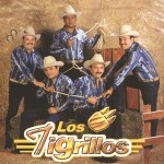 Los Tigrillos详情