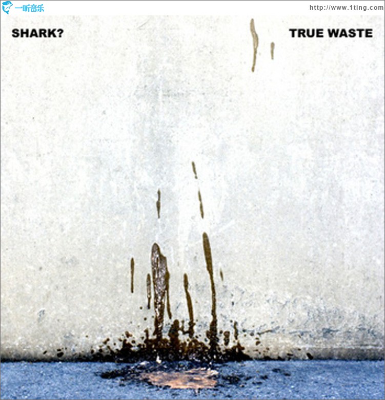 True Waste