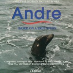 Andre详情