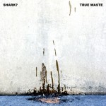 True Waste详情