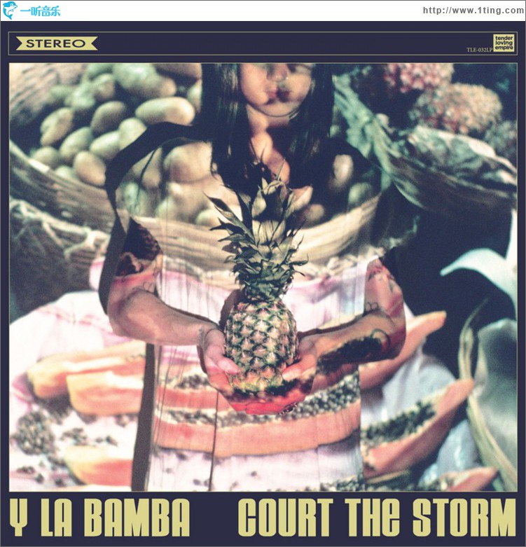 Court the Storm
