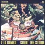 Court the Storm详情