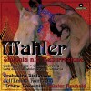 Gunter Neuhold Allegro Maestoso 试听