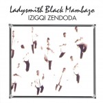 Izigqi Zendoda详情