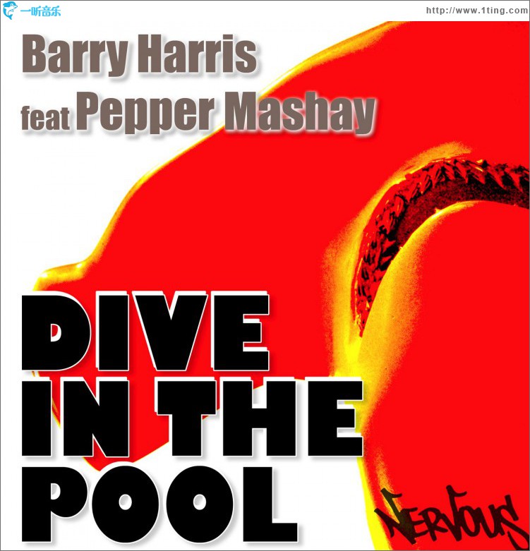 Dive In The Pool 2008