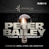 Peter Bailey Train Of Thought (PB2010 Mix) 试听