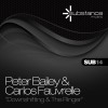 Peter Bailey & Carlos Fauvrelle The Ringer (Original Mix) 试听
