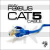Kevin Focus Cat5 Cable (Original Mix) 试听