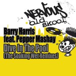 Dive In The Pool feat. Pepper Mashay - The Soaking Wet Remixes详情