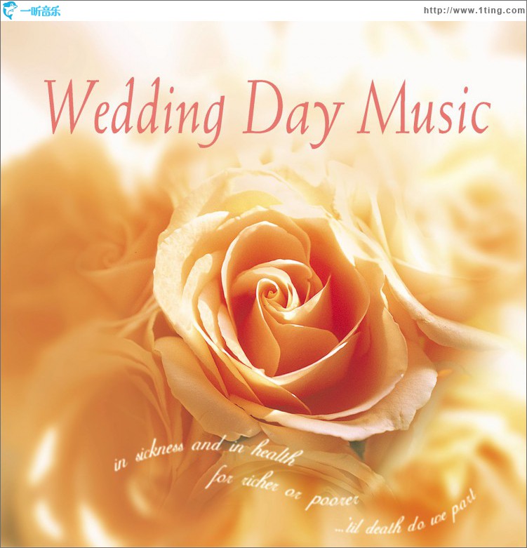 Wedding Day Music