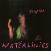 Waterlillies She Must Be In Love (Album Version) 试听