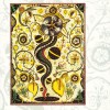 Steve Earle Feel Alright (Album Version) 试听