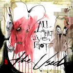 All That I've Got (DMD Maxi Single)详情