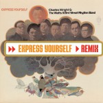 Express Yourself (DMD Maxi Single)详情
