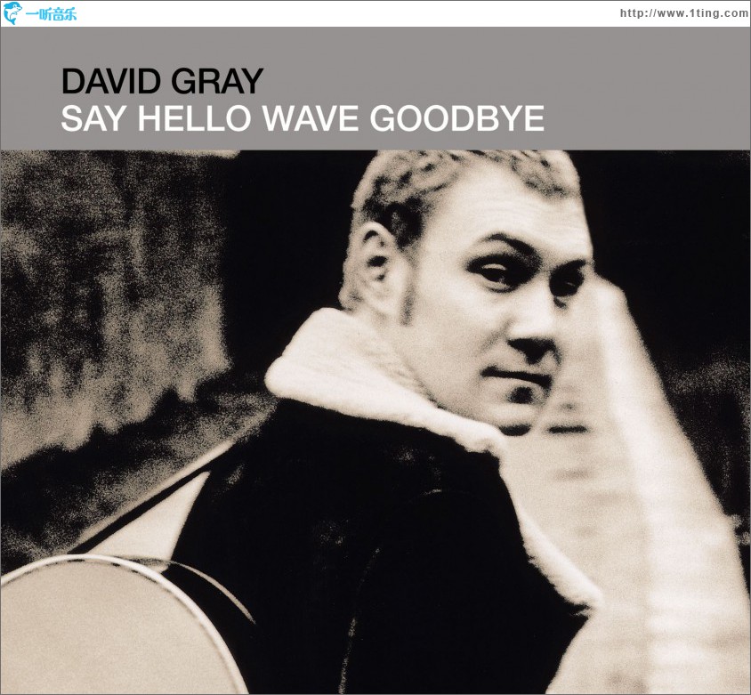 Say Hello, Wave Goodbye