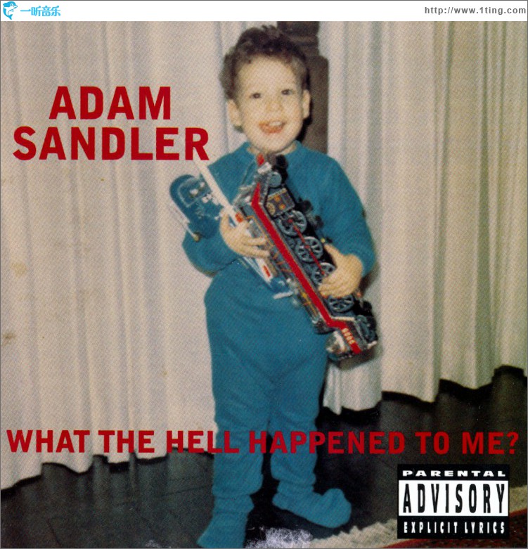 What The Hell Happened To Me? (DMD Album)