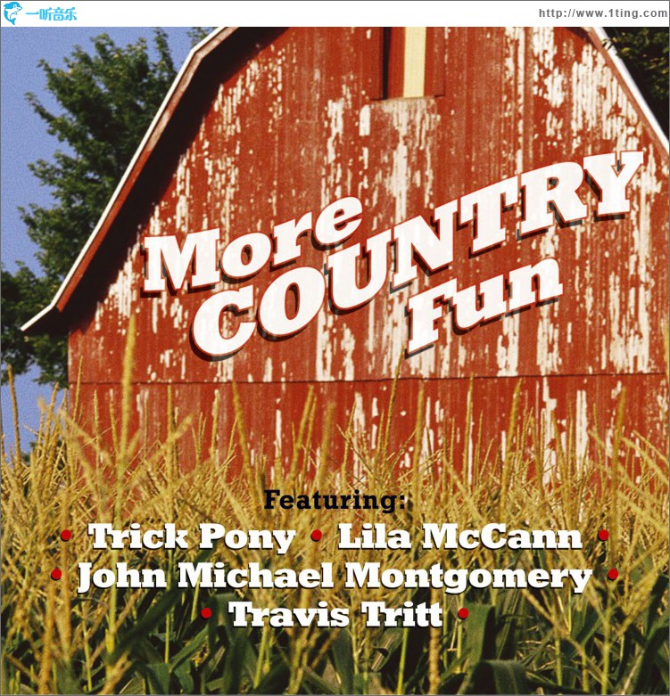 More Country Fun