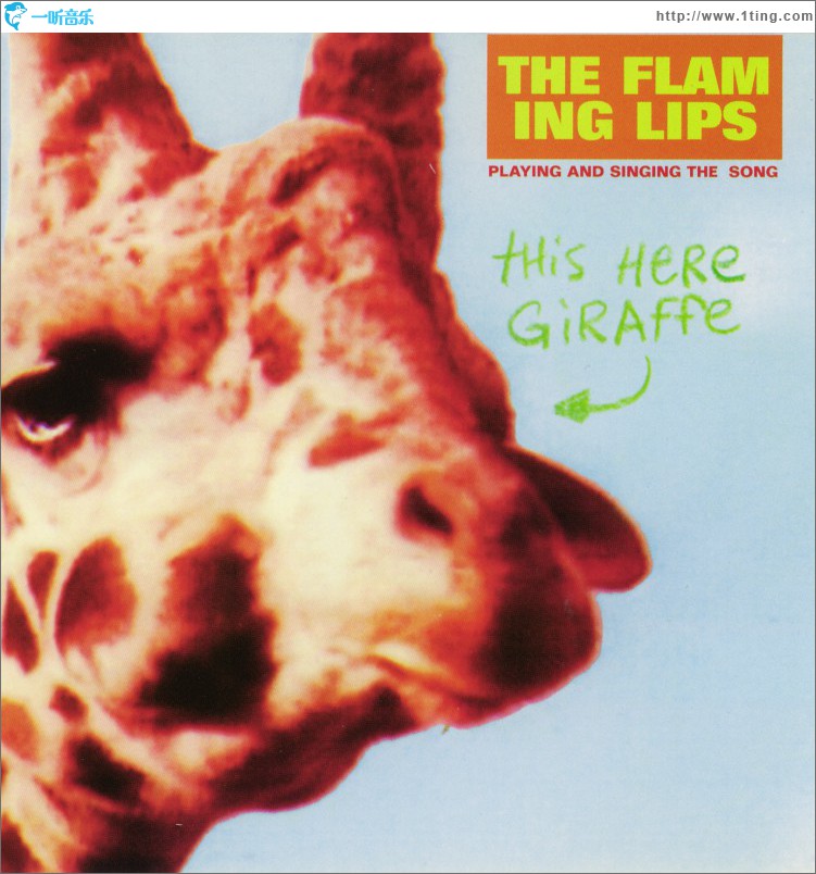 This Here Giraffe (Internet Album)