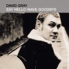 Say Hello, Wave Goodbye