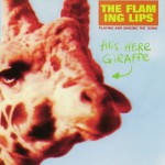 This Here Giraffe (Internet Album)
