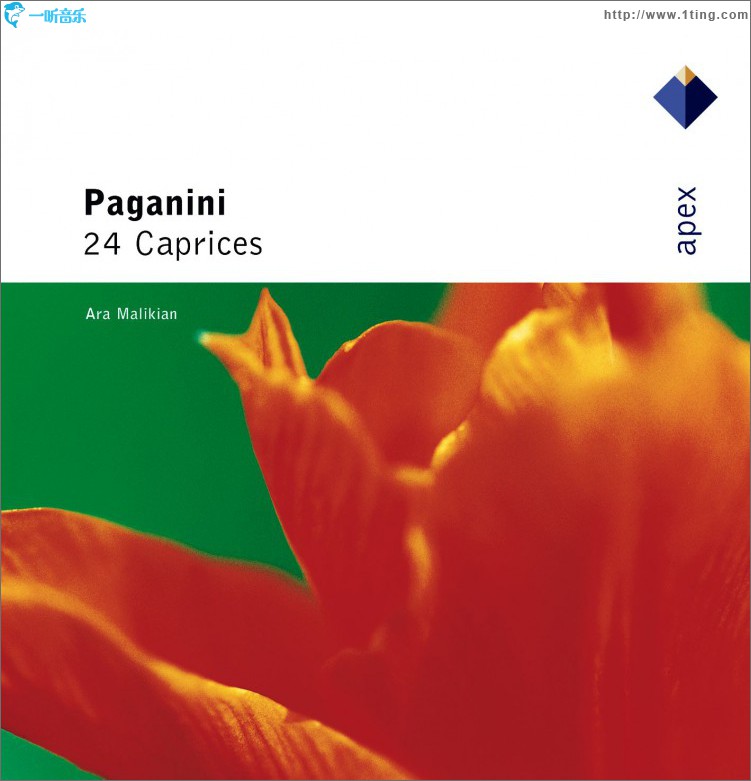 Paganinni 24 Caprichos