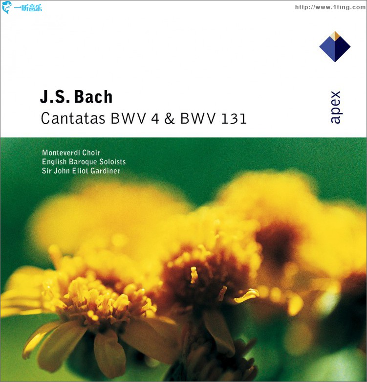 Bach, JS : Cantatas BWV Nos 4 & 131 - Apex