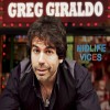Greg Giraldo You Got A.I.D.S. Yo 试听