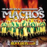 Alma de fuego详情