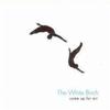 White Birch, The Seer Believer 试听