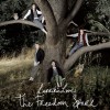 Larrikin Love The Spark (Iain Gore Mix) (Album Version) 试听