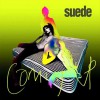 Suede Trash 试听