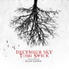 Tomi Swick December Sky (feat. Julian Lennon) 试听