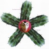 They Might Be Giants Rest Awhile 试听