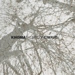 The Second Wave详情