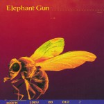 Elephant Gun详情